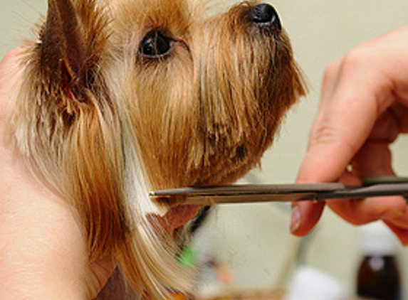 Groomingdales - Mandan, ND. Pet Groomer