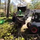 Arbor Care Tree Service - Tree Service