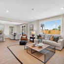 Willow Vista - Taylor Morrison - Home Builders