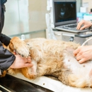 Progressive Pet Hospital - Pet Services