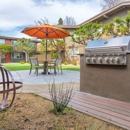 Element Apartment Homes - Apartments