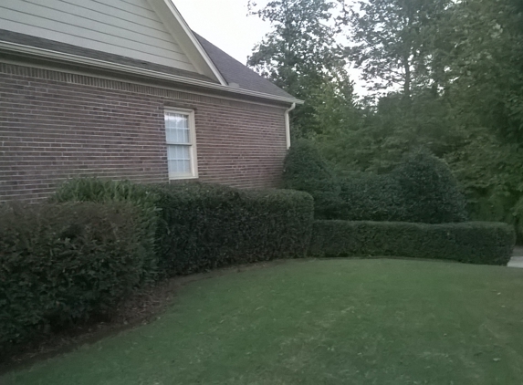 Hedgehog Trimming - Athens, AL