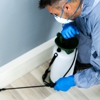Northland Pest Control gallery
