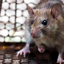 Pestex Inc - Pest Control Equipment & Supplies