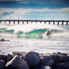 Royal Reef Media gallery