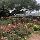 Rosehill Palms Nursery & Garden Center - Garden Centers