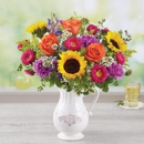Sicolas Florist & 1-800-Flowers - Florists