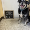 Brookhill Animal Hospital gallery