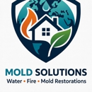Global mold solutions llc