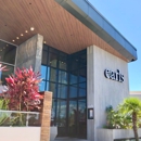 Earls Kitchen + Bar - Mall at Millenia - Restaurants