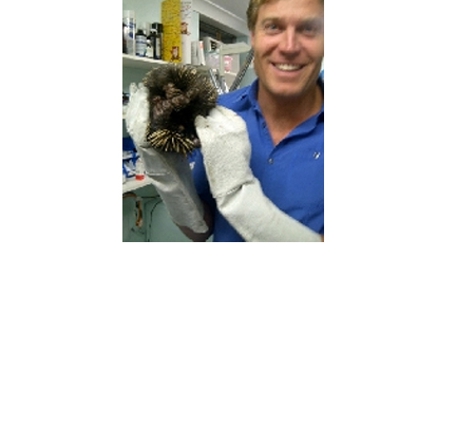 Bondi Junction Veterinary Hospital - Bondi Junction, NSW