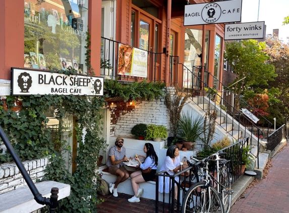 Black Sheep Bagel Cafe - Cambridge, MA