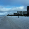 Suncoast Beach Grooming gallery