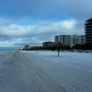 Suncoast Beach Grooming - Beaches