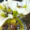 Corporate Flowers NYC gallery