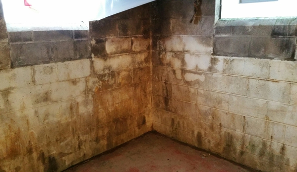 Comprehensive Mold Management - Rochester, NY