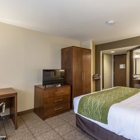 Comfort Inn & Suites Albuquerque Downtown