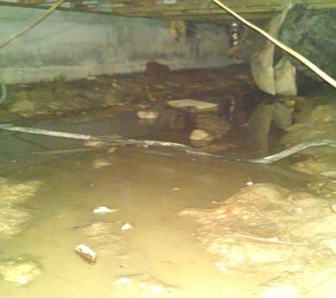 Pro Pest Inc Of Mills River - Mills River, NC. This crawl space needs lots of help!