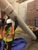 Rapid Rooter Plumbing - Water Heater Repair