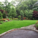 Privacyplantings.com - Landscape Designers & Consultants