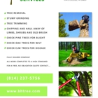 B & H Tree Service