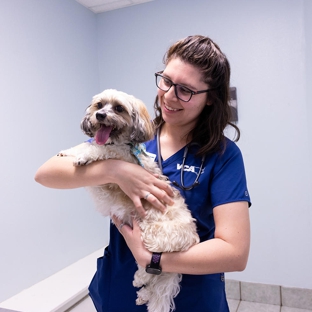 VCA Health Associates Animal Hospital - San Antonio, TX