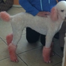 Grooming by Christina