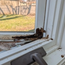 GAES Window Repairs: Residential & Commercial - Windows