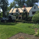 Eddy's Tree Service - Tree Service