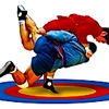 Sambo MMA gallery