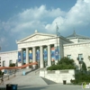 Shedd Aquarium gallery