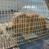 Economy Termite & Pest Control Inc gallery
