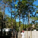 Schnelloggers Tree Service - Tree Service