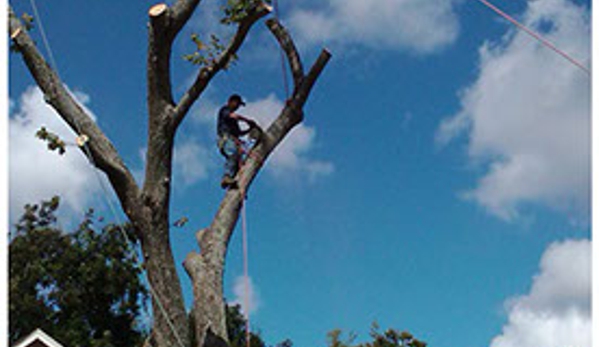 C.I.R. Tree Service - Houston, TX