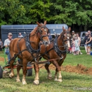 Washington County Rural Heritage Museum - Museums