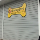 Tailwaggers Pet Grooming - Pet Grooming