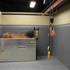 Victoria Veterinary Clinic gallery