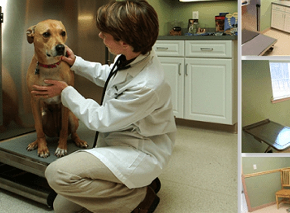 Animal Hospital of Barrington - Barrington, NH