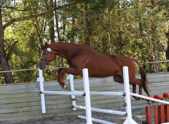 Hunting Horn Stables - Miami, FL