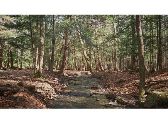 Spencer Crest Nature Center - Corning, NY