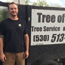 Tree of Eden - Tree Service