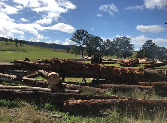 Long Flat Timbers - Yarras, NSW