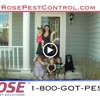 Rose Pest Solutions gallery