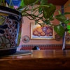 Mexicalli Grill gallery