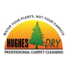 Hughes Dry Professional Carpet Care gallery