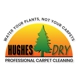 Hughes Dry Professional Carpet Care