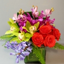 Royal Petal - Flowers, Plants & Trees-Silk, Dried, Etc.-Retail