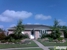Tree Arts - Tree Service