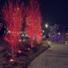 Main Street on the Monon gallery