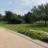 Bright Green Landscapes Inc. gallery